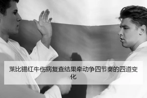 lai-bi-xi-hong-niu-shang-bing-fu-cha-jie-guo-qian-dong-zheng-si-jie-zou-de-si-dao-bian-hua-2-499.jpg